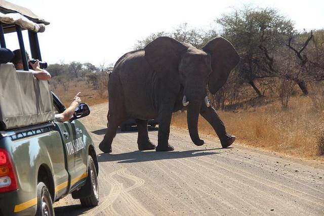 Kruger Park