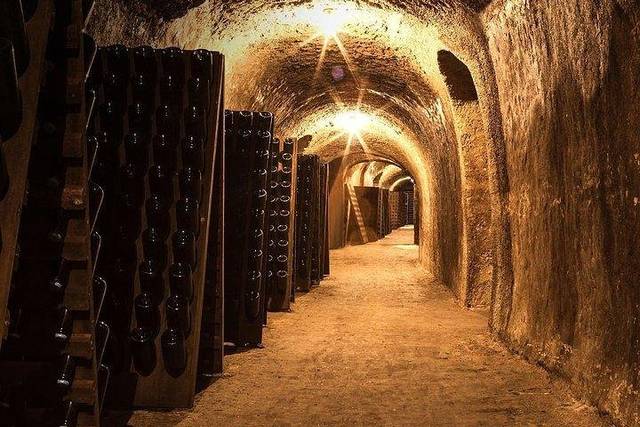 Vineyards