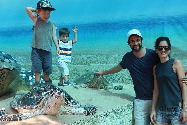 Turtle Hatchery