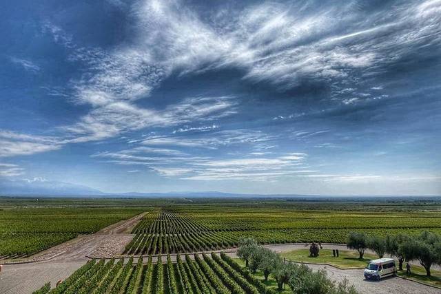 Maipú Wineries