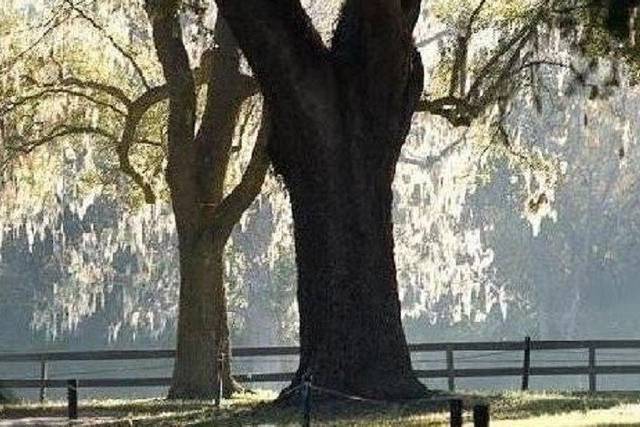 Boone Hall
