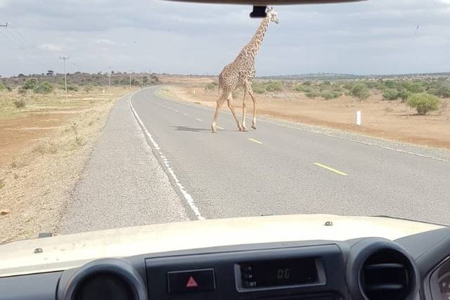 Arusha National Park