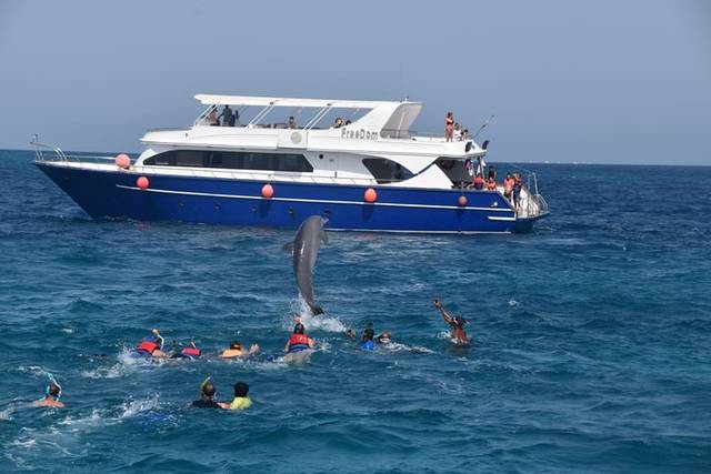 Dolphin House