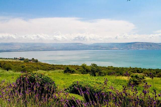 Galilee