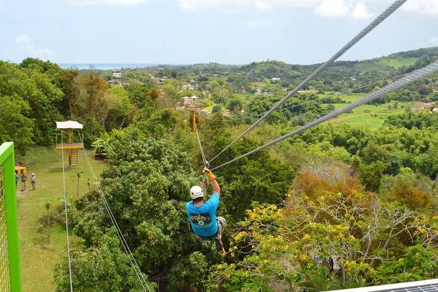 Ziplines