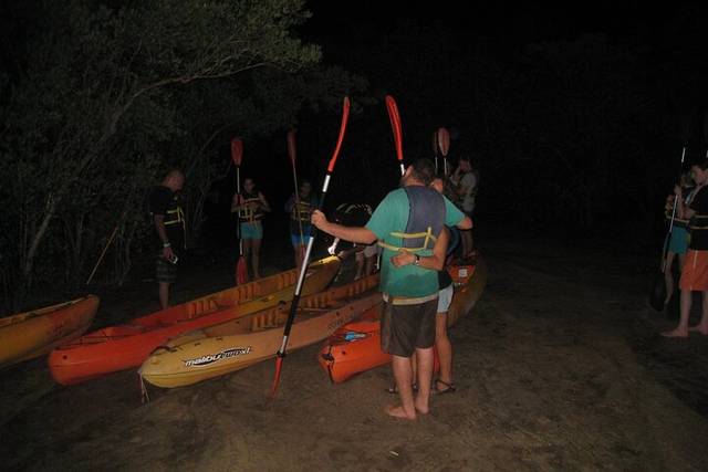 Bioluminescent Bay