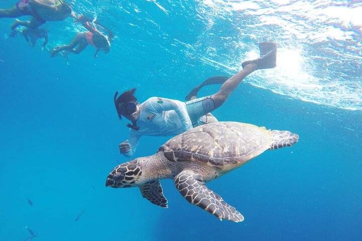 Snorkeling, Cozumel
