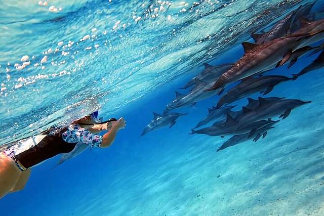 Sataya Reef