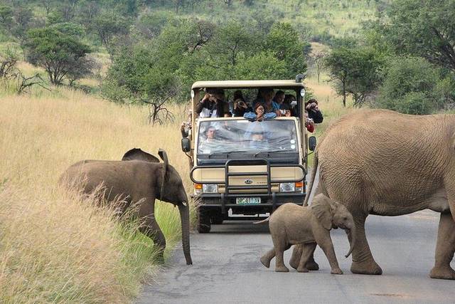 Pilanesberg