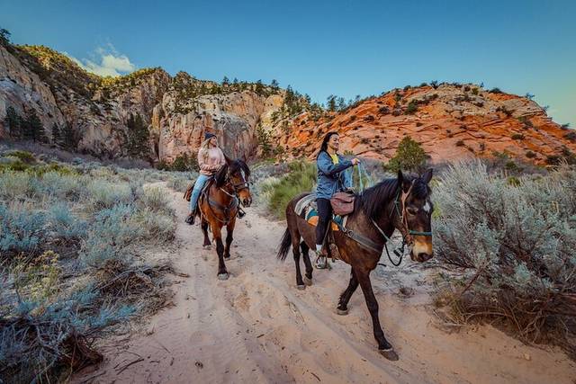 Horseback Trails