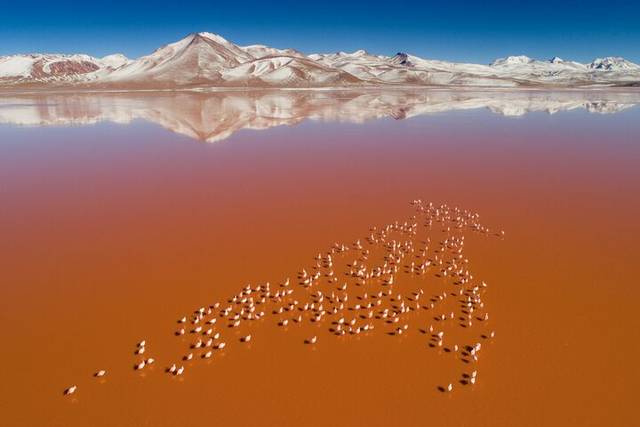 Salar de Uyuni