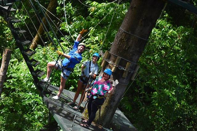 Canopy Zipline