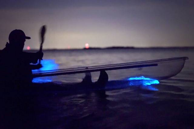 Clear Kayak