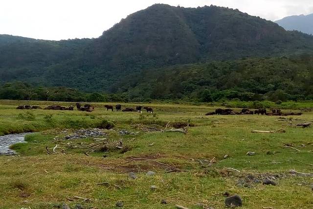Kilimanjaro Day Hike
