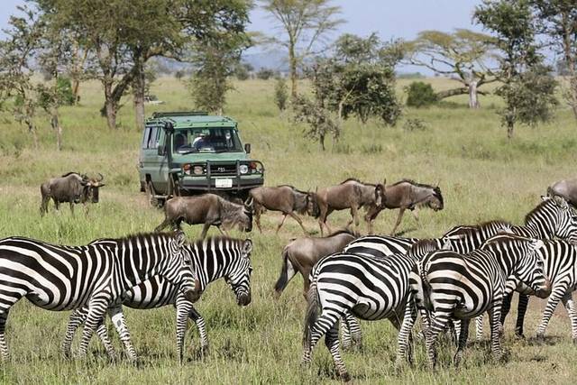 Serengeti