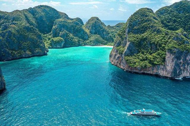 Plankton Bay
