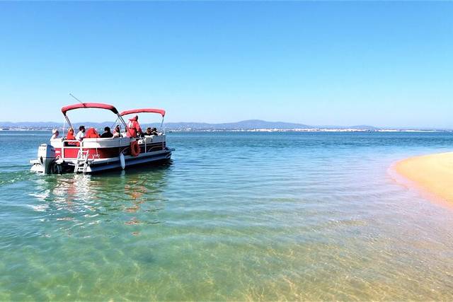 Ria Formosa Wildlife