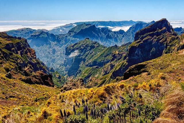 Levada Trails