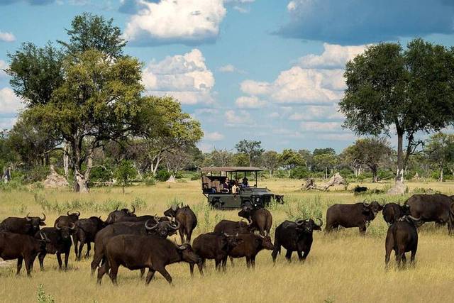 Chobe National Park