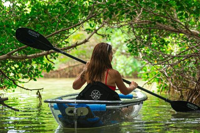Weedon Island