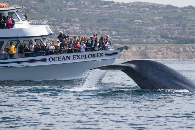 Catalina Island