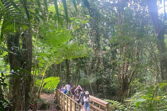 El Yunque