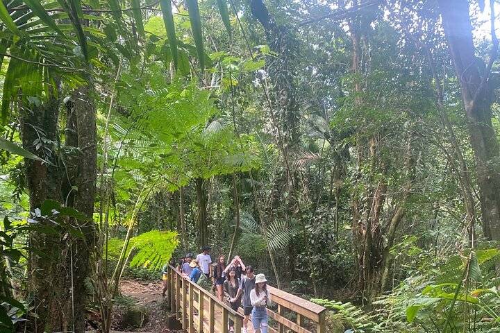 El Yunque Rainforest, Isla Verde