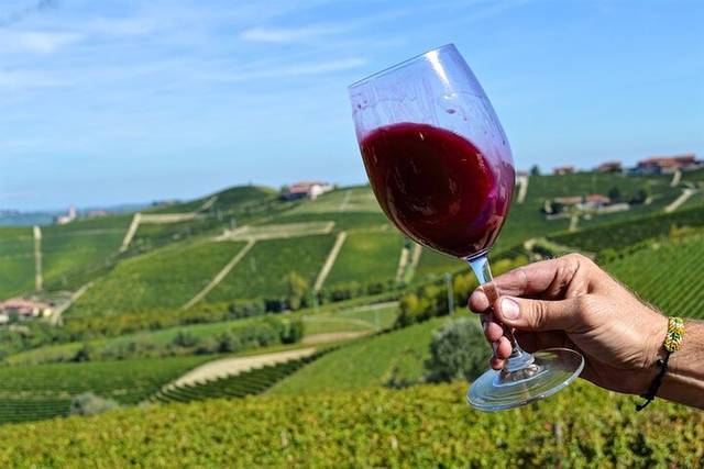 Barbaresco & Roero