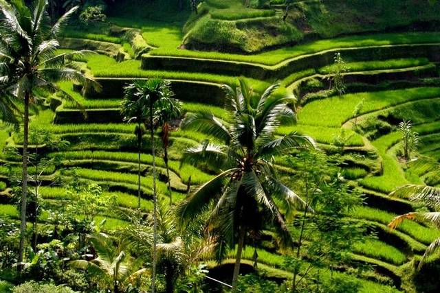 East Bali