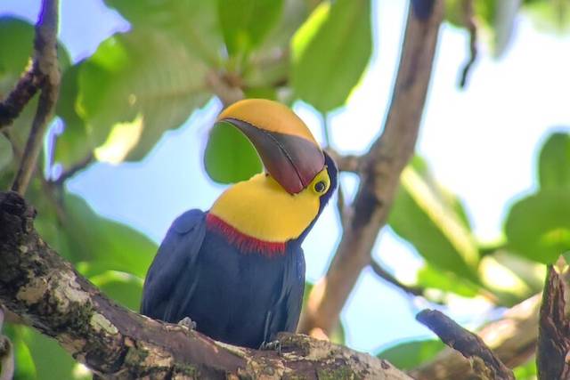 Cahuita