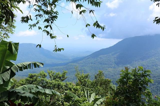 Coffee Country
