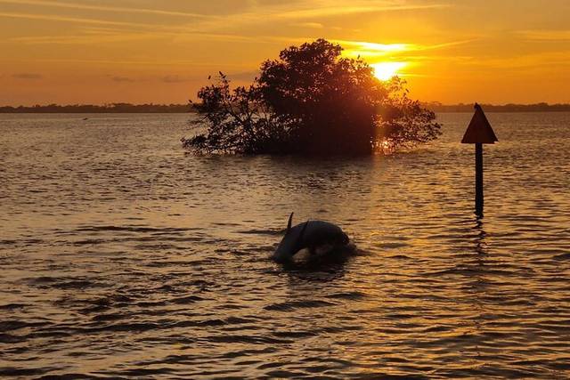 Sunset Cruise