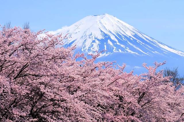 Mt Fuji