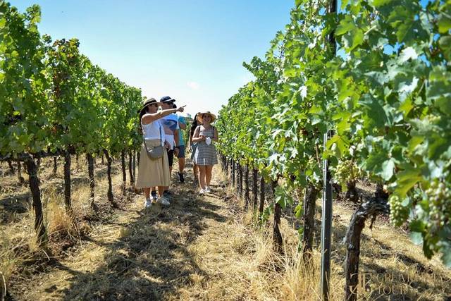 Chianti & Tuscany