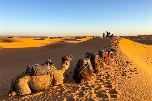Fez to Marrakech