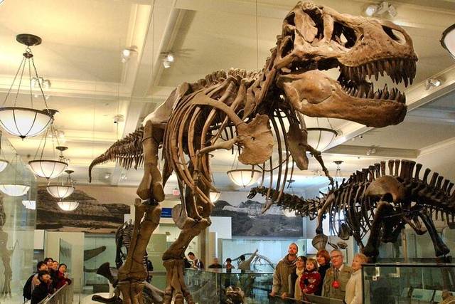 Smithsonian
