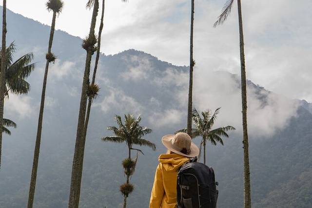 Cocora Trails