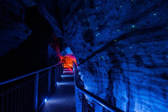 Waitomo Caves