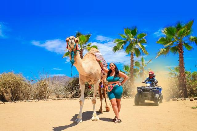 Baja Desert