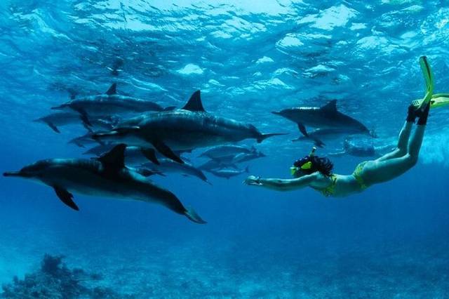 Mnemba Atoll