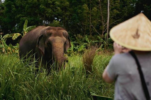 Elephant Sanctuary