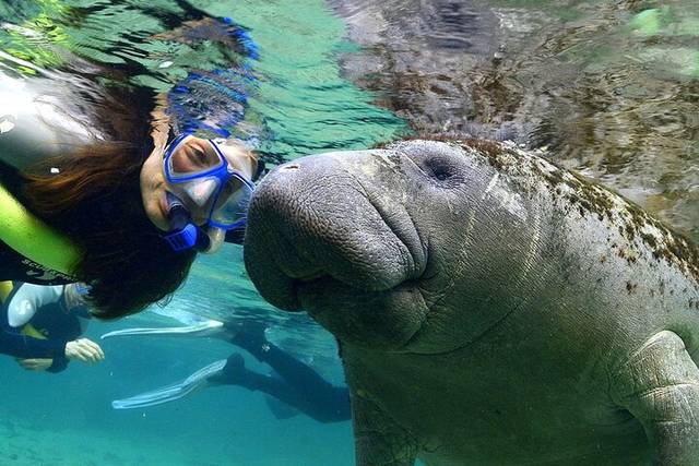 Homosassa