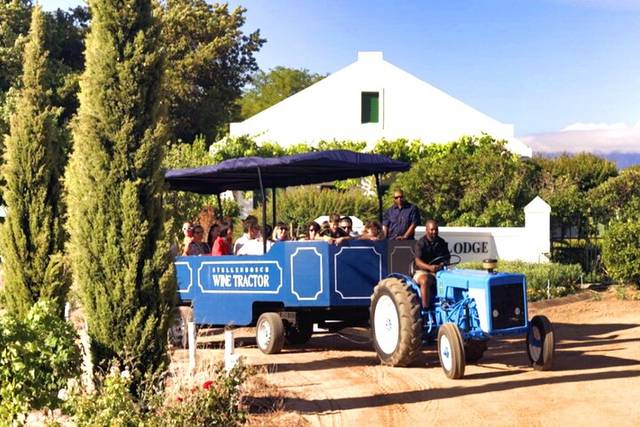 Wine Tastings