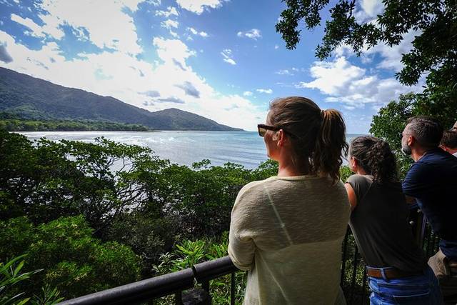 Daintree