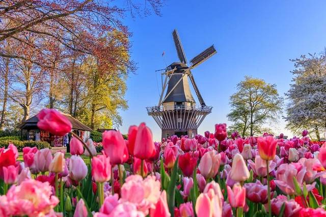 Zaanse Schans