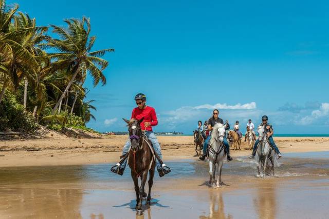 Beach Rides