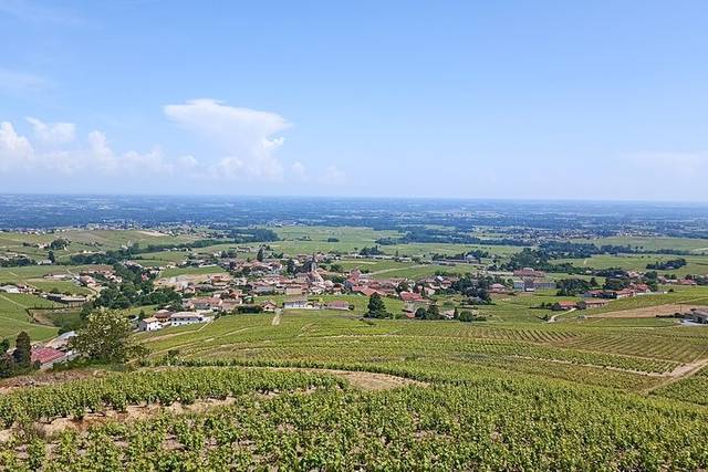 Beaujolais