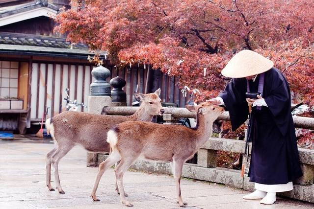 Nara