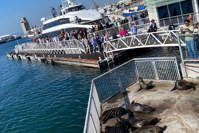 Robben Island