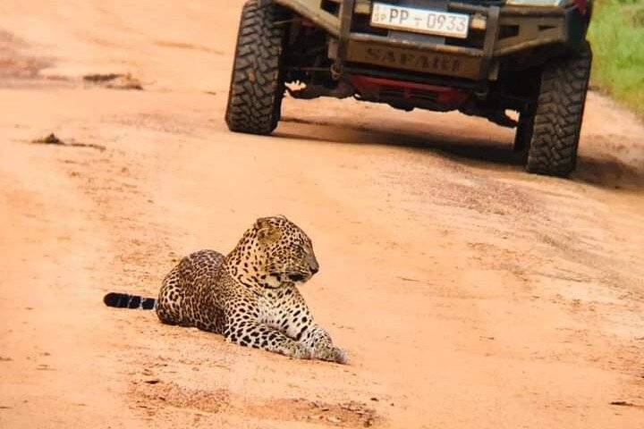 Wilpattu Safari, Anuradhapura